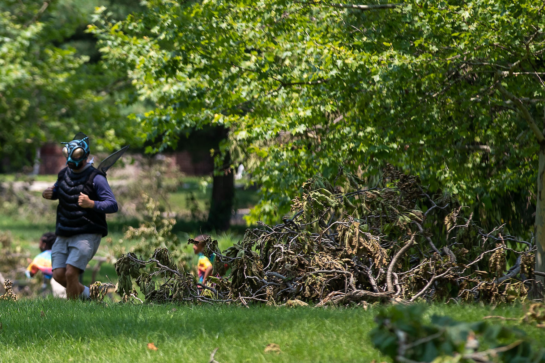 072021-owh-new-treedebris-pic-cm009.jpg